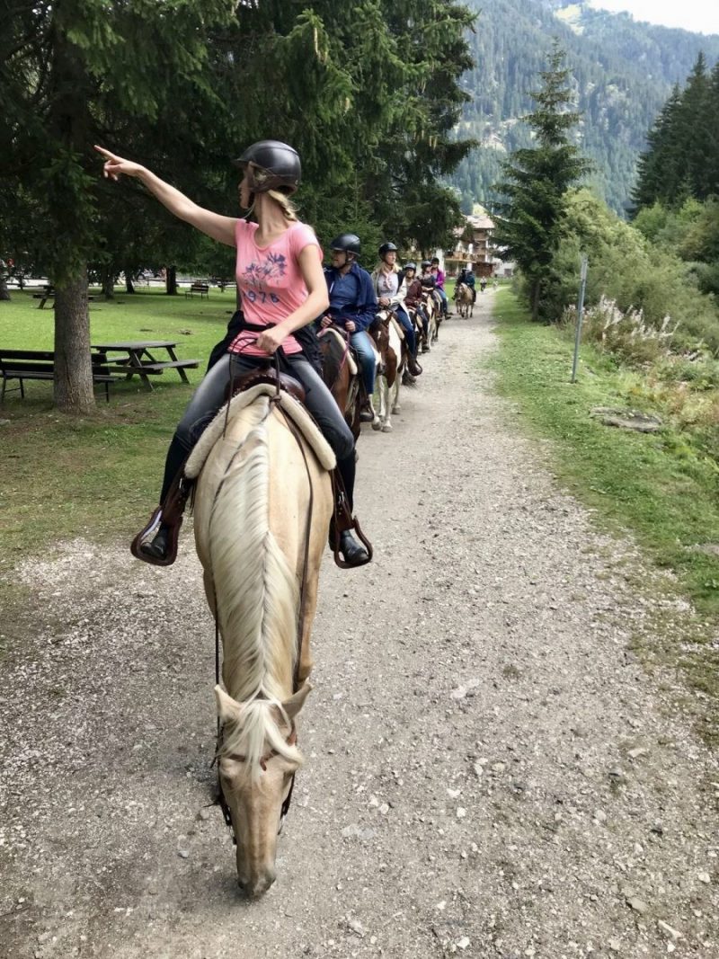 Tuurlijk, mijn paard en ik wijzen de weg wel even. ;)