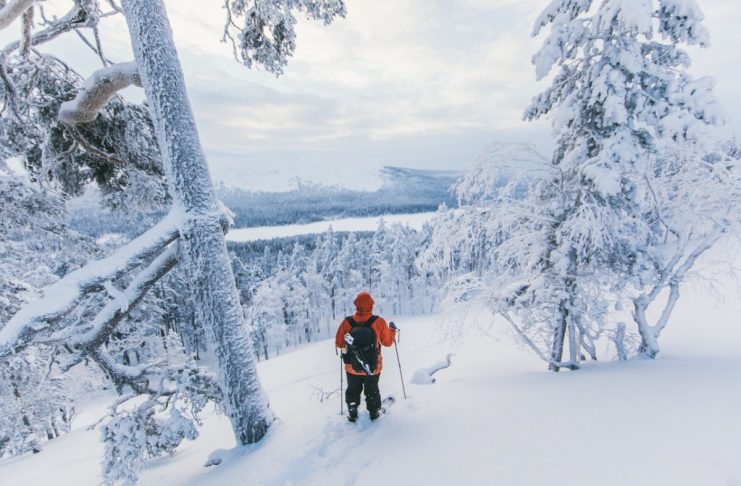 SNOWSHOE