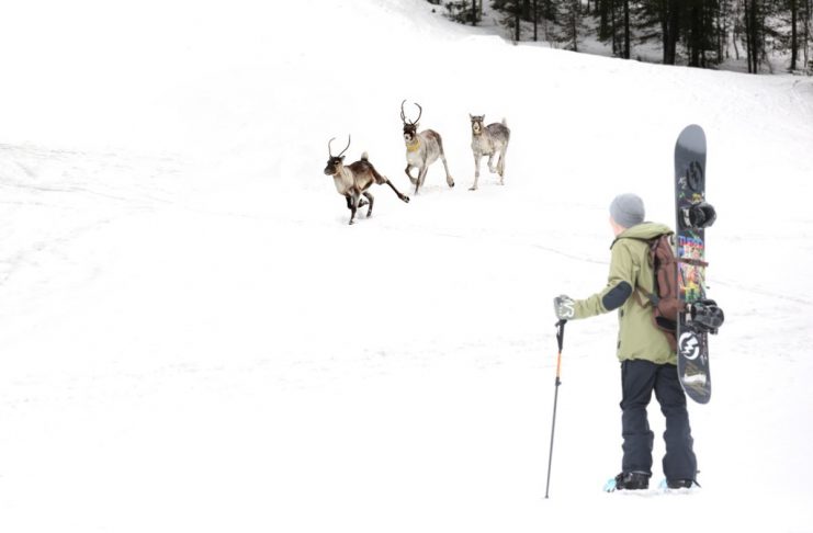 SNOWBOARD-TOERING-RENDIEREN