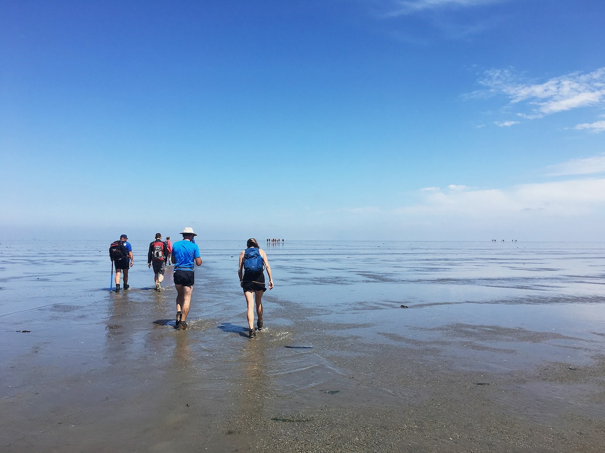 Wadlopen: het makkelijke deel