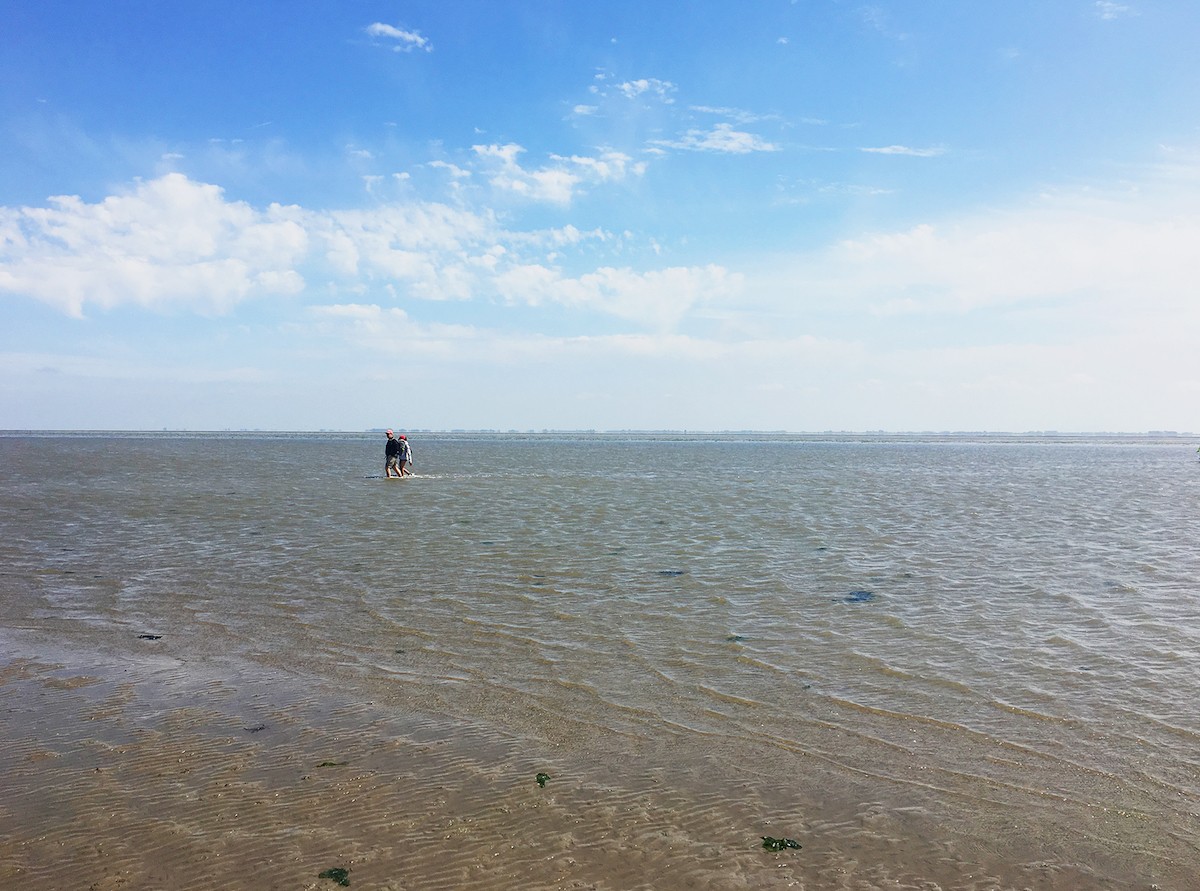 In de vaargeulen is het water dieper