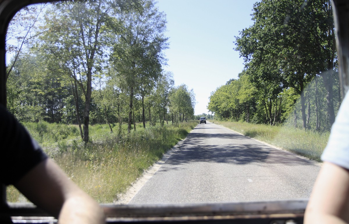 Op jeepsafari in de Groningse wildernis
