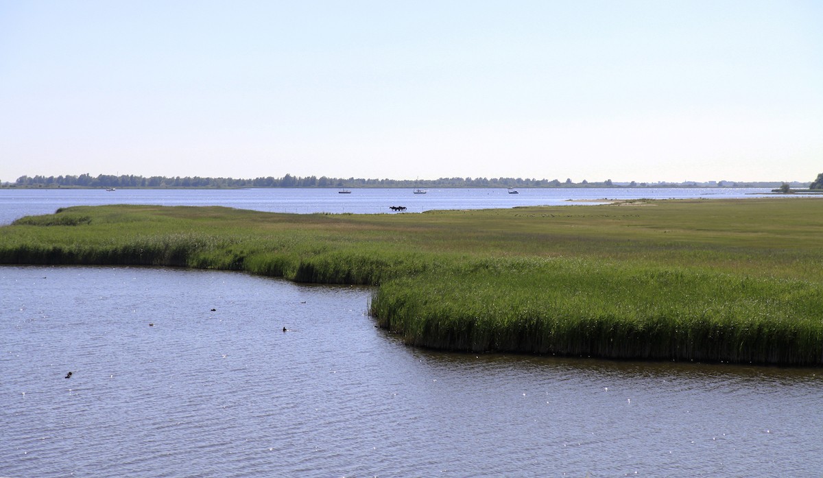 Het Lauwersmeer is een oase van rust