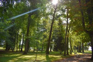 Veel groen in de stad Kroatië