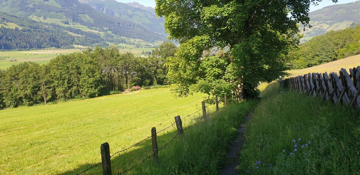 Wandelen Zell am See
