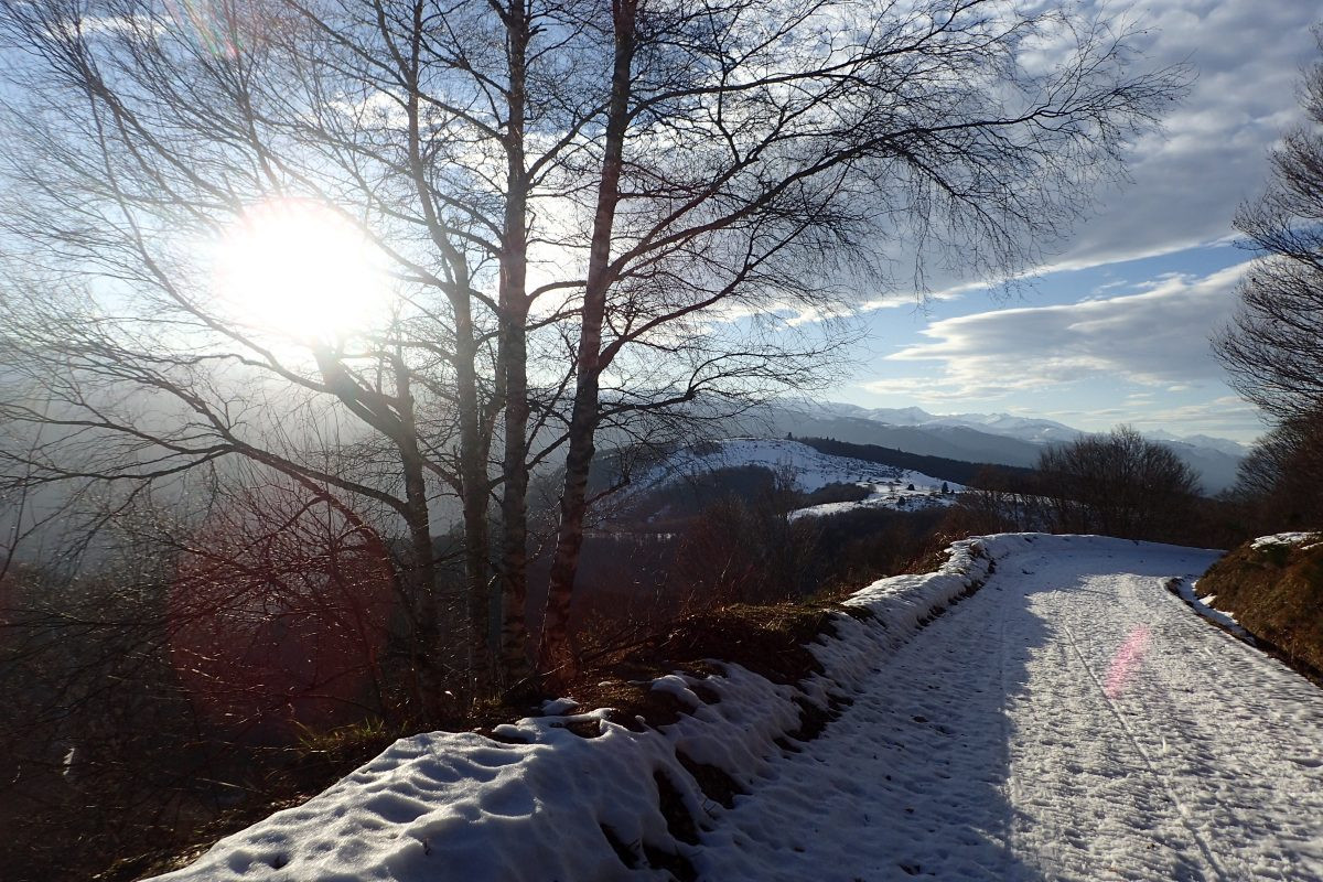 Besneeuwd pad tijdens de afdaling