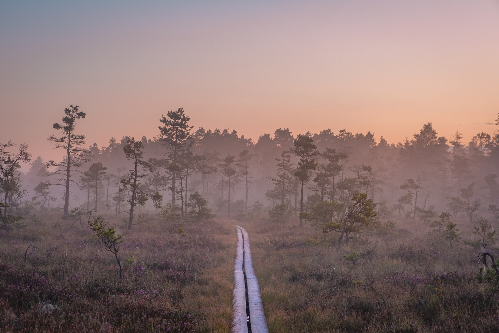 Dumme mosse natuurreservaat