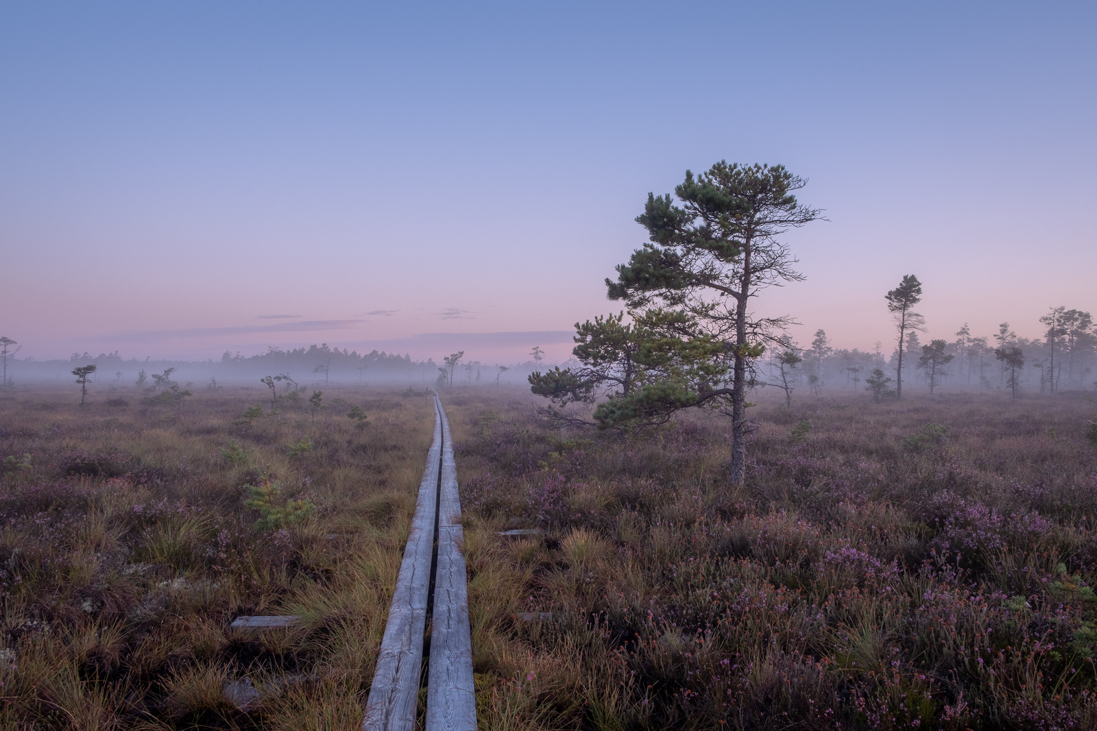Dumme mosse natuurreservaat