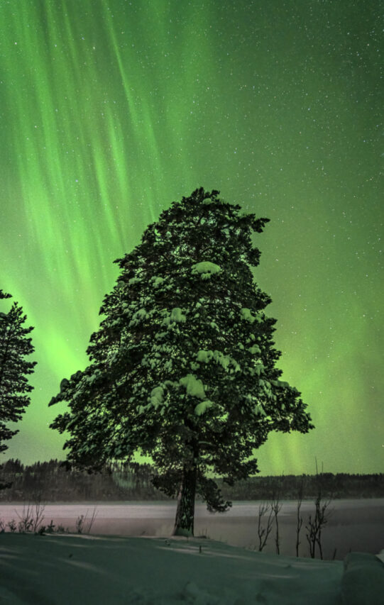 Gammelstad en het noorderlicht in Zweeds Lapland