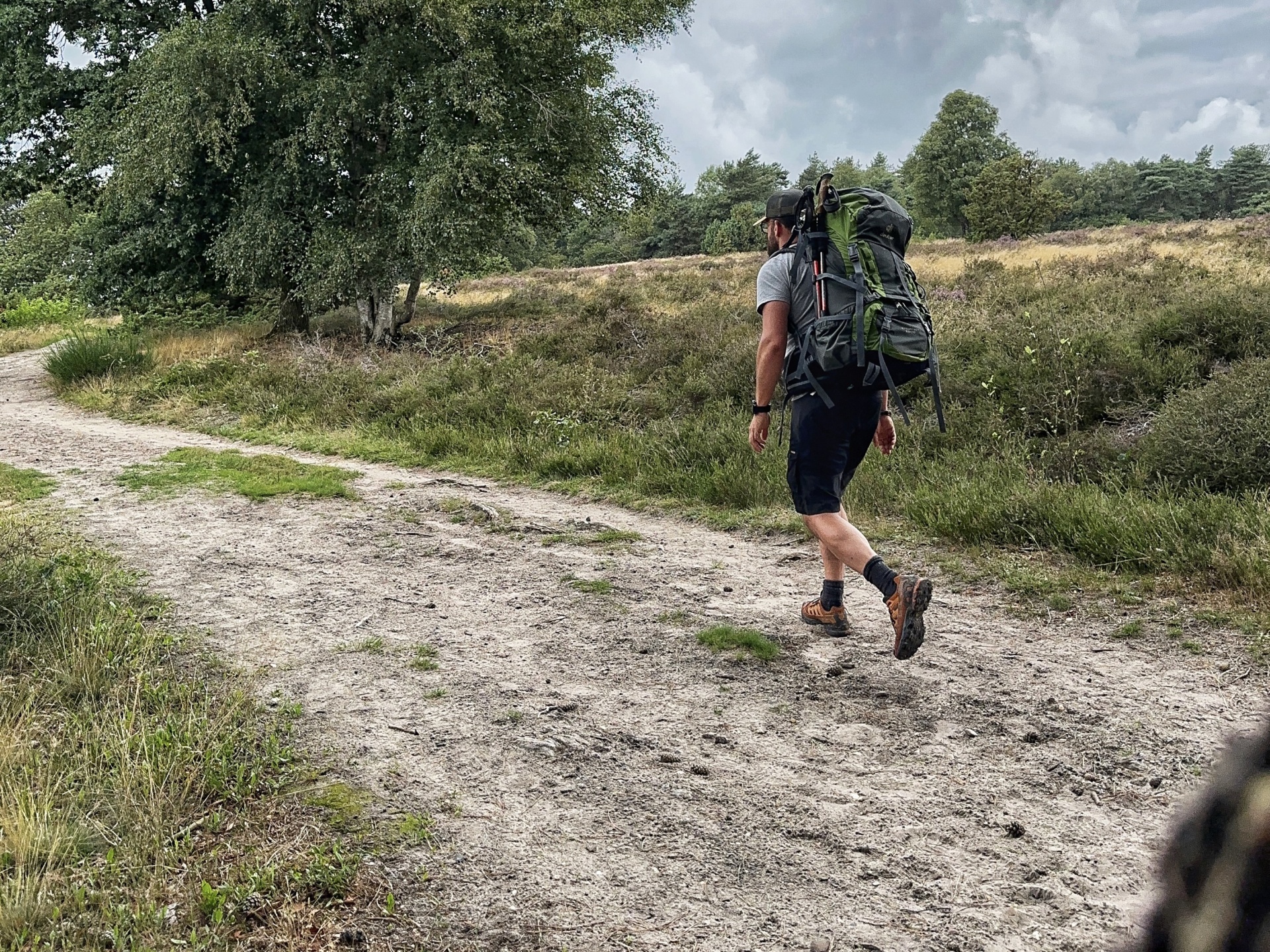 Bergwandelen in Nederland | Verslag van de Sallandse Toppentocht