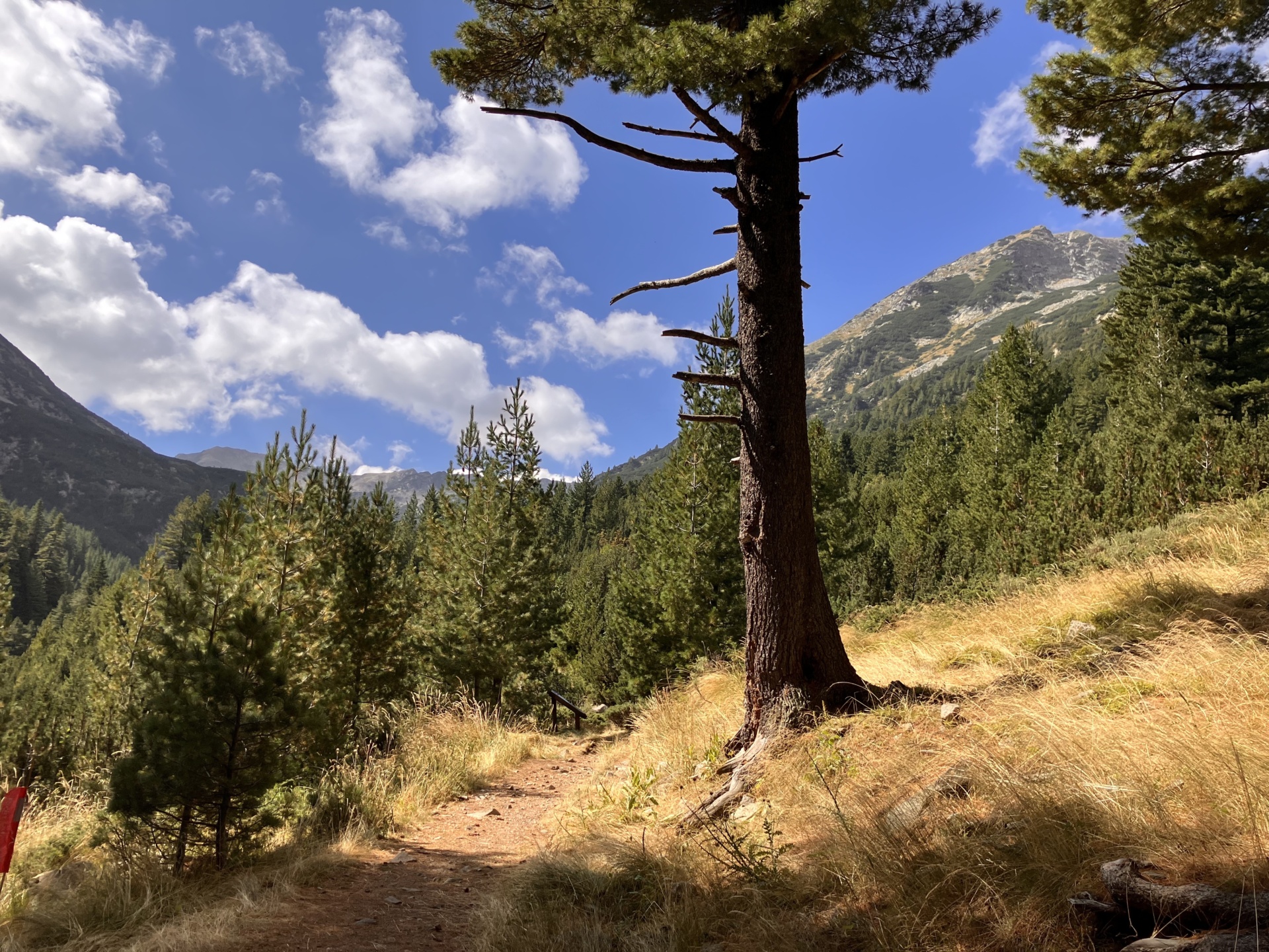Reisverslag | Een hike door het Pirin gebergte, Bansko Bulgarije