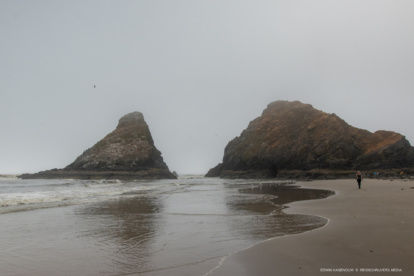 Walvissen, zeeleeuwen en mystieke mist aan de Oregonkust