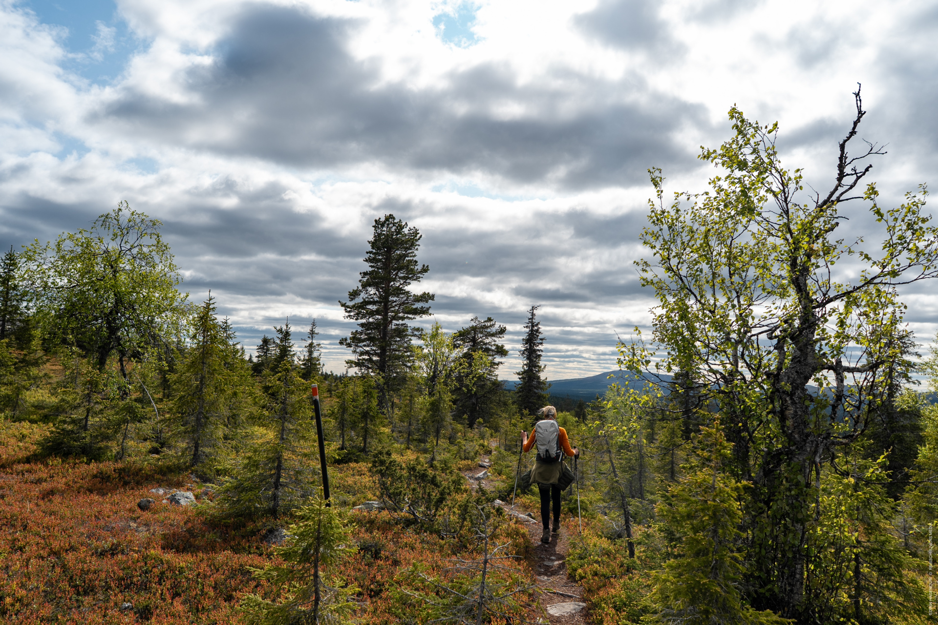 Luxe overnachten in Levi en een mooie hike in het hoogland van Lapland