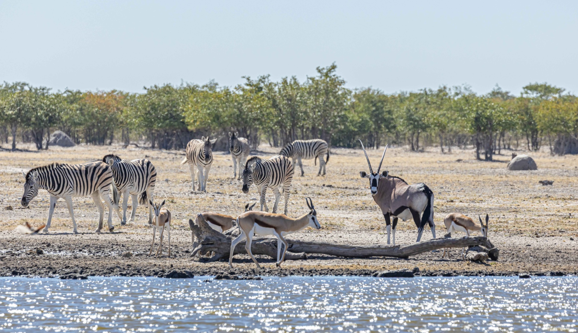 Deze 7 highlights in Namibië mag je echt niet missen