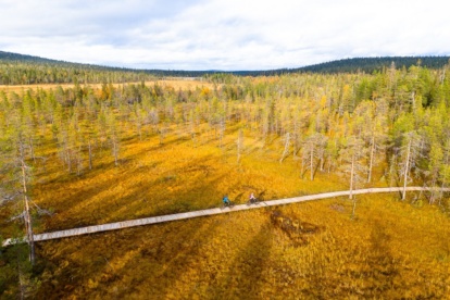 Salla in de zomer en herfst: avontuurlijke rust in het wilde Lapland