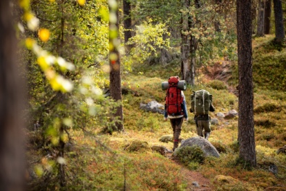 Waarom hiken in Salla in Fins Lapland een onvergetelijke ervaring is