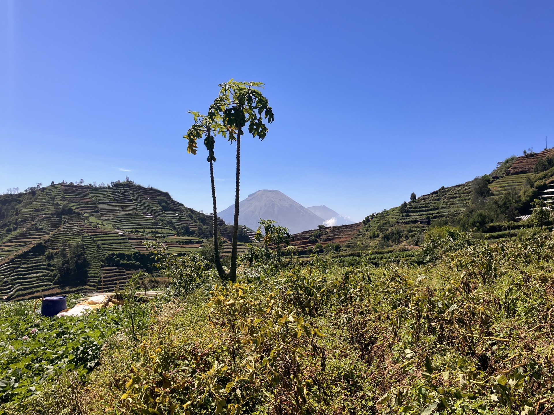 Reisverslag Indonesië | Hiken over het dak van Java, het Diengplateau