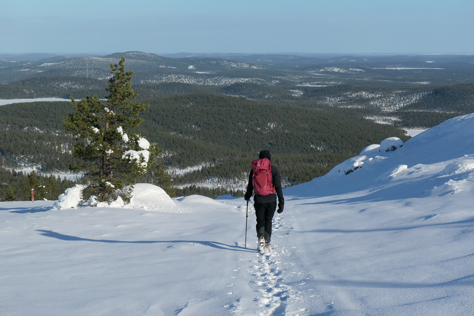 Op verkenningsreis door winters Lapland - deel 2/3